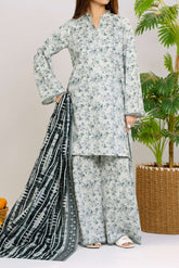NPSLW3100 Printed Lawn Suit - Stitched 3Pc