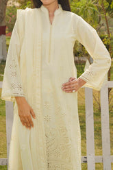 NPSSE3080 Schiffli Embroidered Lawn Suit - Stitched 3Pc