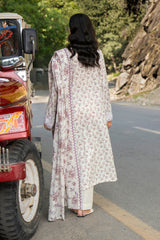 Stitched 3Pc - Embroidered Lawn - NPSSE3154