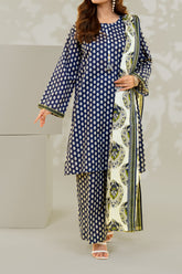 Stitched 3Pc - Printed Khaddar - NPWKDP3014