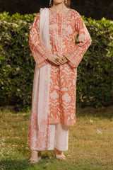 NPSA3078 Printed Embroidered Suit - Stitched 3Pc