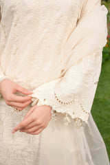 Stitched 3Pc - Cotton Satin - NPSCS3141