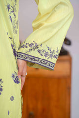 Npslr2102 Printed Raw Silk Lawn - Stitched 2Pc