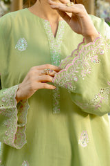 NPSCE2090 Embroidered Lawn Suit - Stitched 2Pc