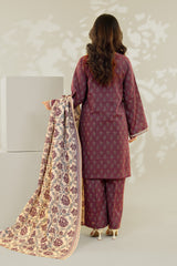 Stitched 3Pc - Printed Khaddar - NPWKDP3011