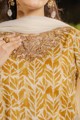 NPSA3074 Printed Embroidered Suit - Stitched 3Pc