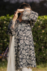 NPSA3077 Printed Embroidered Suit - Stitched 3Pc