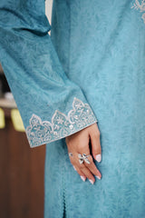 Stitched 2Pc - Embroidered Lawn - NPSLE2120