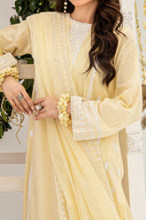 NPSLA3115 Aari Embroidered Lawn Suit - 3Pc