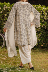 NPSA3076 Printed Embroidered Suit - Stitched 3Pc