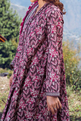 NPWKP3048 - Printed Khaddar (Stitched 3Pc)