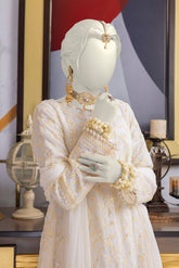 Noor - Chiffon Luxury RTW 3Pc - NPS3041