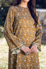 PARKER - Digital Printed Stitched 2 Pc - 2053