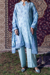 PANSY - Printed Unstitched Khaddar Suit (3 Piece) 3138
