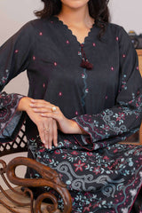 Npslr2103 Printed Raw Silk Lawn - Stitched 2Pc
