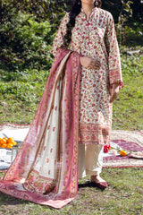 PAISLEY - Printed Unstitched Khaddar Suit (3 Piece) 3134