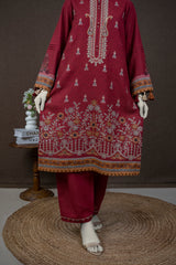 NPWE3040 - Printed Embroidered Khaddar (Stitched 3Pc)