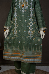 NPWE3041 - Printed Embroidered Khaddar (Stitched 3Pc)