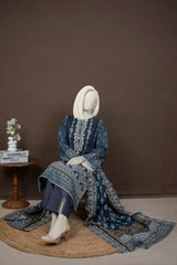 NPWE3033 - Printed Embroidered Khaddar (Stitched 3Pc)