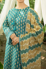 NPWK3042 - Printed Khaddar (Stitched 3Pc)