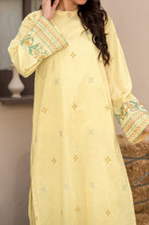 Npsde2110 Embroidered Dobby Lawn - Stitched 2Pc
