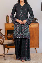 Npslr2103 Printed Raw Silk Lawn - Stitched 2Pc