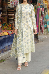 Stitched 3Pc - Embroidered Lawn - NPSLE3151