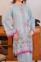 Npslr2105 Printed Raw Silk Lawn - Stitched 2Pc