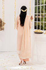 NPSLA3116 Aari Embroidered Lawn Suit - 3Pc