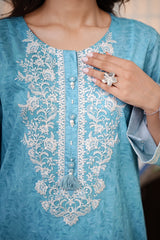 Stitched 2Pc - Embroidered Lawn - NPSLE2120