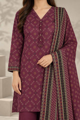 Stitched 3Pc - Printed Khaddar - NPWKDP3028