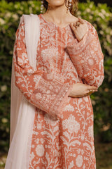 NPSA3078 Printed Embroidered Suit - Stitched 3Pc