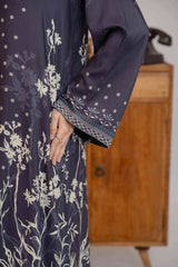 Npslr113 Printed Raw Silk Lawn - Stitched 1Pc