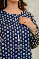 Stitched 3Pc - Printed Khaddar - NPWKDP3014