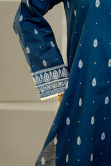Stitched 3Pc - Printed Khaddar - NPWKDP3008