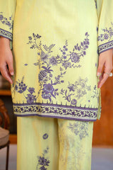 Npslr2102 Printed Raw Silk Lawn - Stitched 2Pc