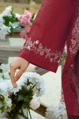 NPSCE2093 Embroidered Lawn Suit - Stitched 2Pc