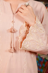 Stitched 2Pc - Embroidered Khaddar - NUWKDS2008