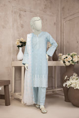 NPS2059 Embroidered Lawn Suit - Stitched 2 Pc