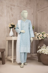 NPS2059 Embroidered Lawn Suit - Stitched 2 Pc