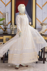 Noor - Chiffon Luxury RTW 3Pc - NPS3041