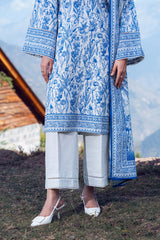 NPWKP3055 - Printed Khaddar (Stitched 3Pc)