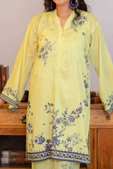 Npslr2102 Printed Raw Silk Lawn - Stitched 2Pc