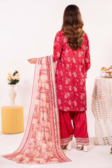 NPSE3141 Printed Embroidered Lawn Suit - 3 Piece
