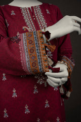 NPWE3040 - Printed Embroidered Khaddar (Stitched 3Pc)