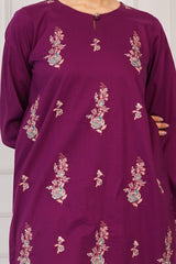 NPSE2065 Embroidered Cambric Suit - Stitched 2 Pc