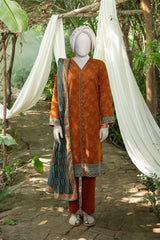 NPWK3027 - Printed Khaddar (Stitched 3Pc)