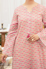 NPSE2090 Embroidered Lawn - Stitched 2 Pc