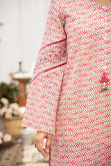 NPSE2090 Embroidered Lawn - Stitched 2 Pc
