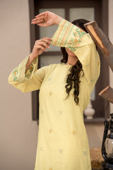 Npsde2110 Embroidered Dobby Lawn - Stitched 2Pc